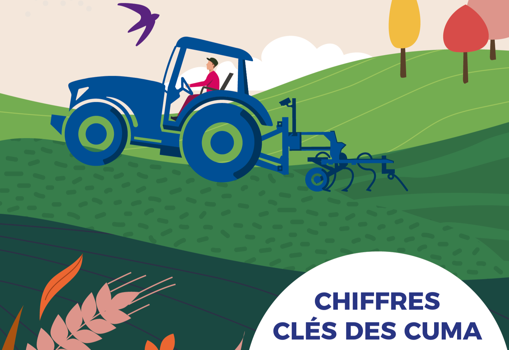 Publication Des Chiffres Clés 2023 Des Cuma | Actualités | Ressources ...