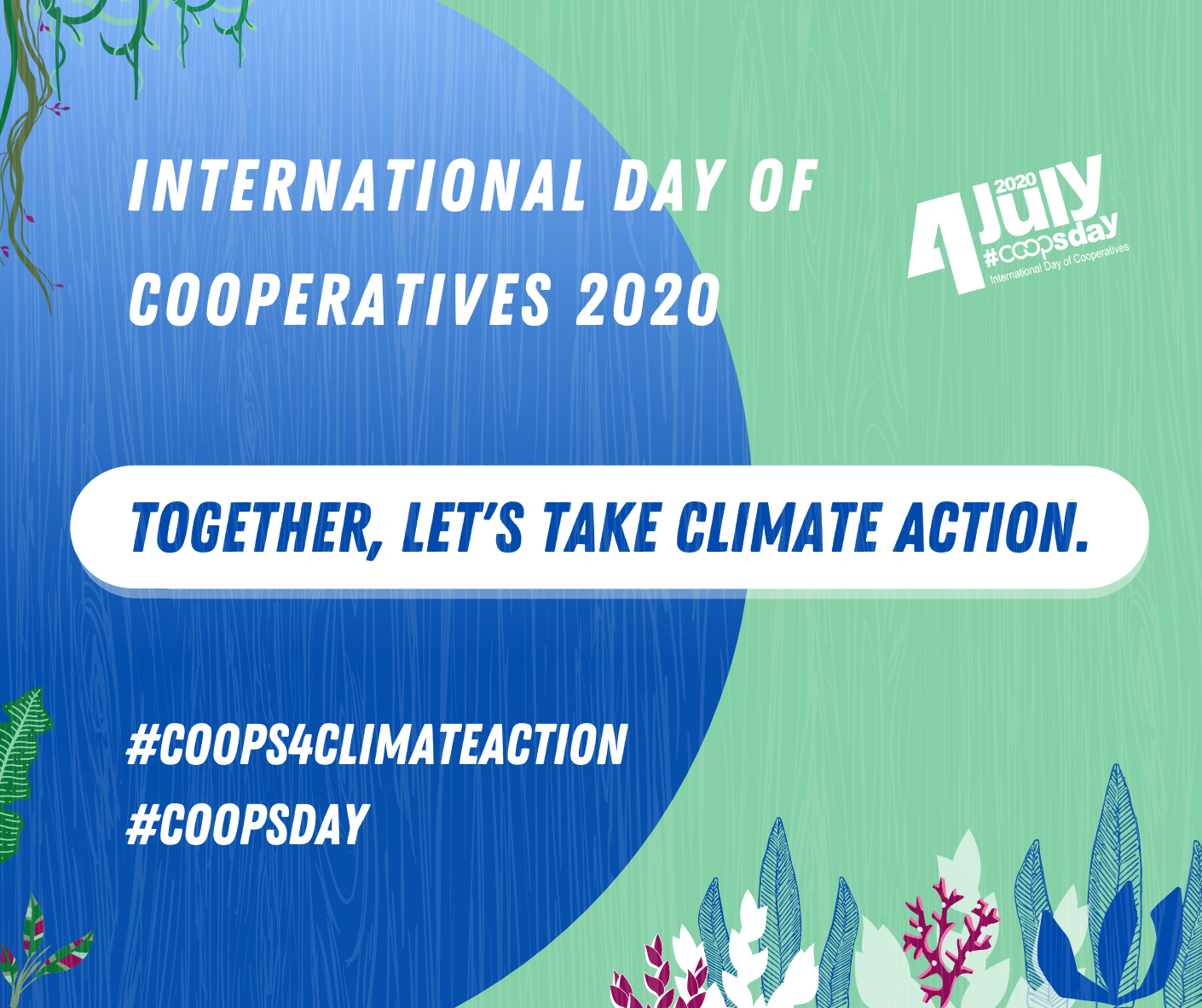 CoopsDayClimateAction