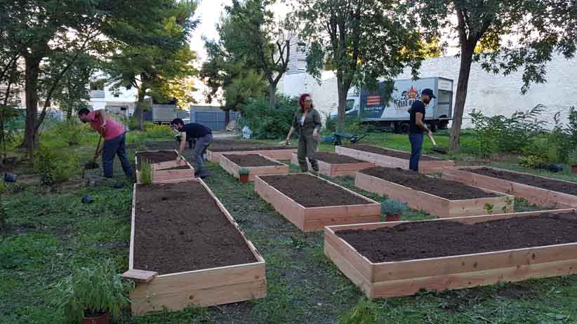 jardin partagé