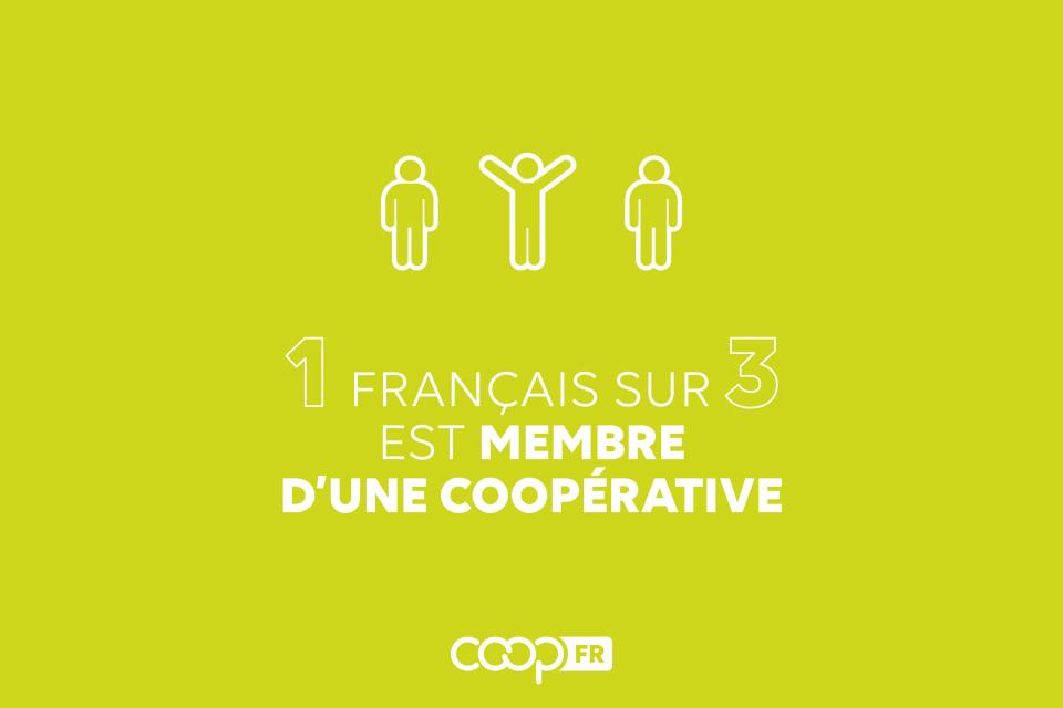 infographie 1 Français sur 3 membre de coop