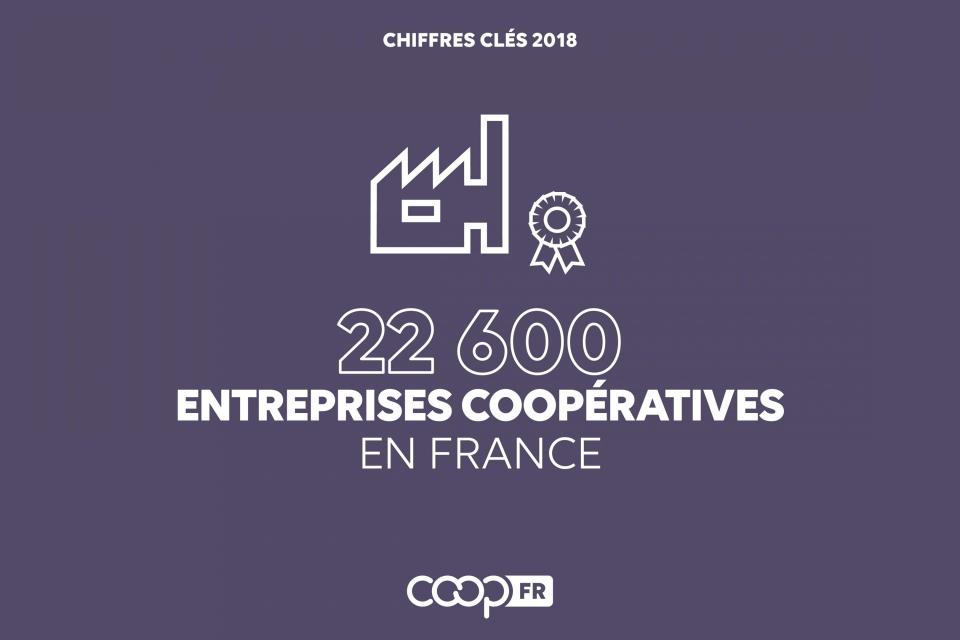 infographie 23 000 entreprises coopératives